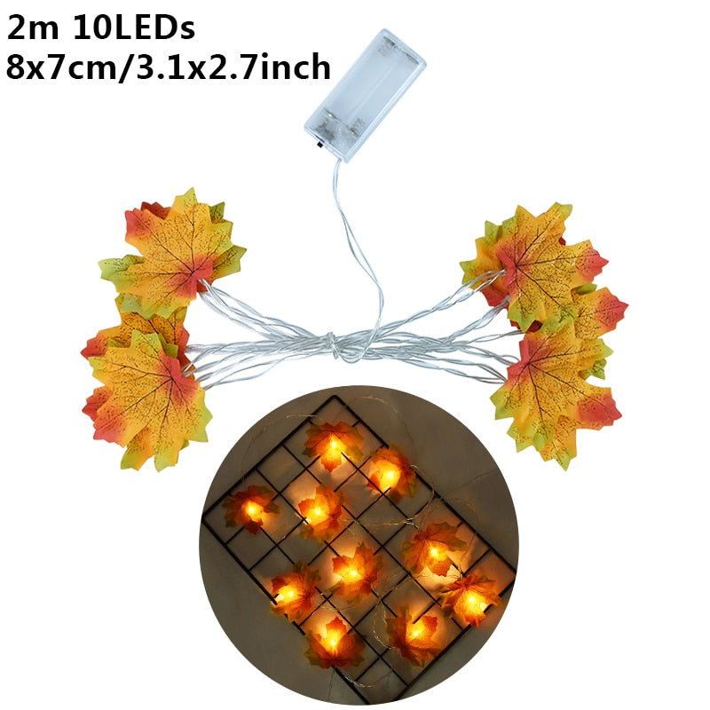 LED Halloween Variety Lights